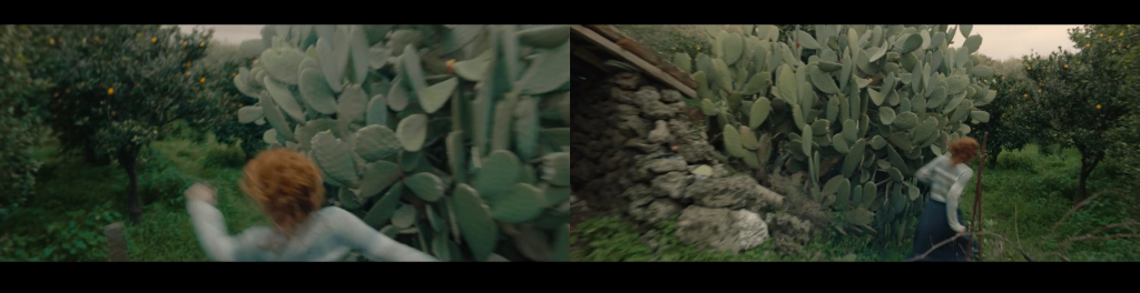 Video Rapicavoli flight Sicilian vegetation